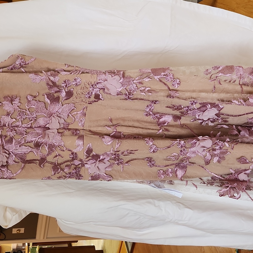 NWT Dress The Population Audrey Fit & Flare Sheer Lace Floral Appliqué Womens XL - Picture 4 of 5